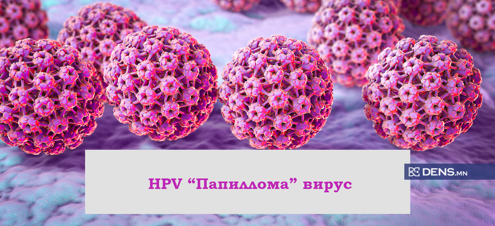 Хний папиллома HPV вирус  тээсэн бол бусад хмс юу гэж бодох бол гэж санаа зовох шаардлагатай юу raquo Dens.mn - Популизмаас ангид, хараат бус мэдээлэл